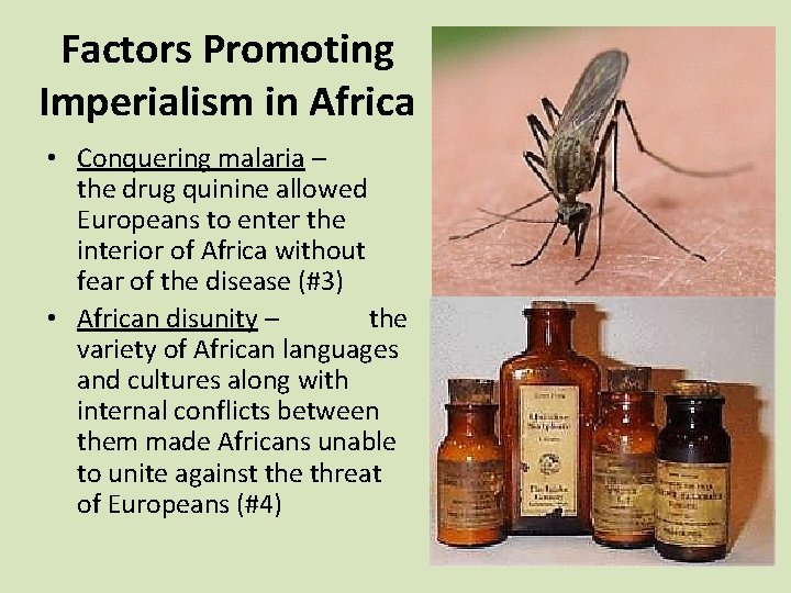 Factors Promoting Imperialism in Africa • Conquering malaria – the drug quinine allowed Europeans