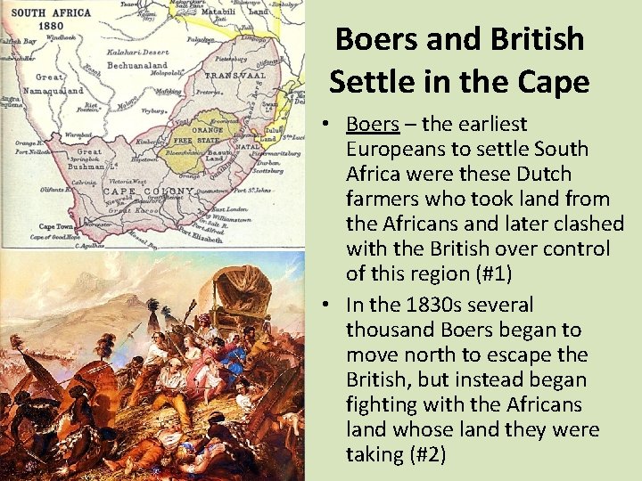 Boers and British Settle in the Cape • Boers – the earliest Europeans to
