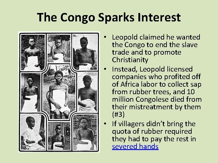 The Congo Sparks Interest • Leopold claimed he wanted the Congo to end the