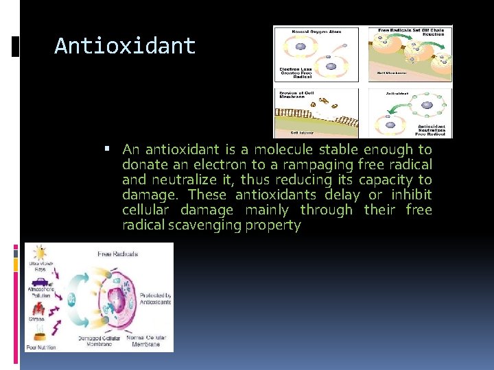 Antioxidant An antioxidant is a molecule stable enough to donate an electron to a