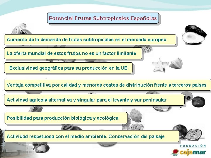 Potencial Frutas Subtropicales Españolas Aumento de la demanda de frutas subtropicales en el mercado
