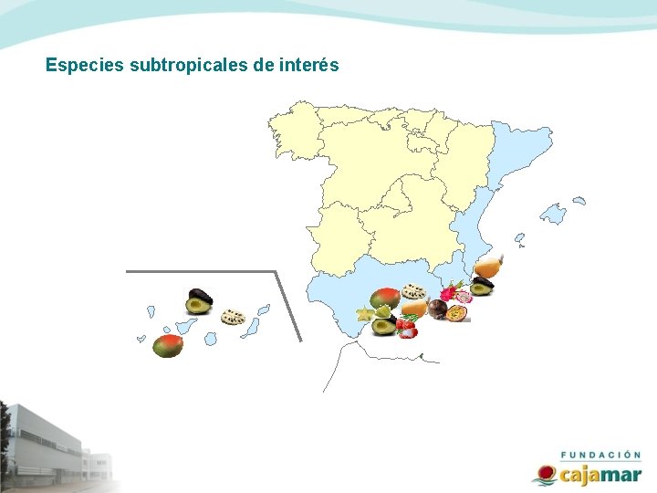 Especies subtropicales de interés 