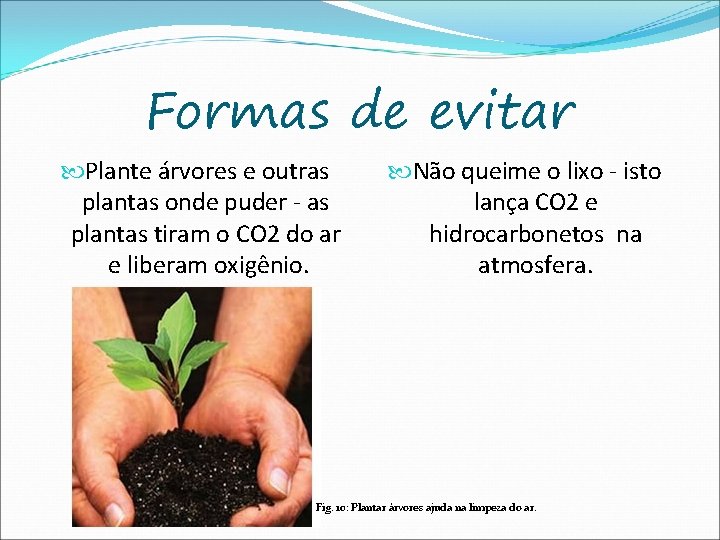 Formas de evitar Plante árvores e outras plantas onde puder - as plantas tiram