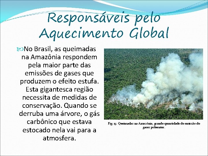 Responsáveis pelo Aquecimento Global No Brasil, as queimadas na Amazônia respondem pela maior parte