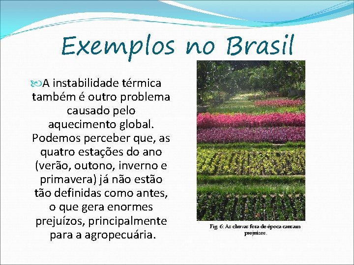 Exemplos no Brasil A instabilidade térmica também é outro problema causado pelo aquecimento global.