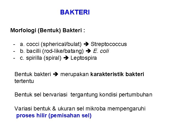 BAKTERI Morfologi (Bentuk) Bakteri : - a. cocci (spherical/bulat) Streptococcus - b. bacilli (rod-like/batang)