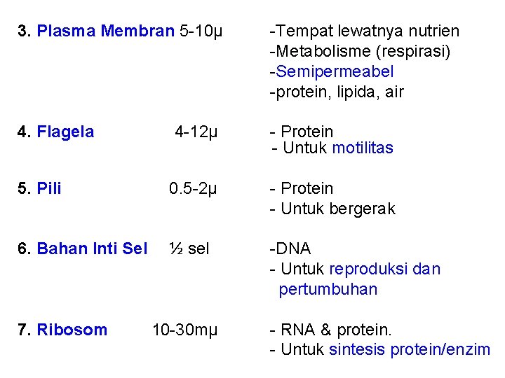 3. Plasma Membran 5 -10µ -Tempat lewatnya nutrien -Metabolisme (respirasi) -Semipermeabel -protein, lipida, air