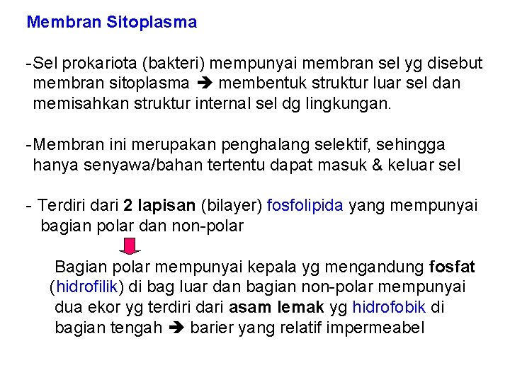 Membran Sitoplasma - Sel prokariota (bakteri) mempunyai membran sel yg disebut membran sitoplasma membentuk