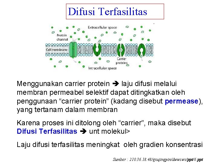Difusi Terfasilitas Menggunakan carrier protein laju difusi melalui membran permeabel selektif dapat ditingkatkan oleh