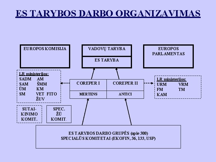 ES TARYBOS DARBO ORGANIZAVIMAS EUROPOS KOMISIJA VADOVŲ TARYBA EUROPOS PARLAMENTAS ES TARYBA LR ministerijos: