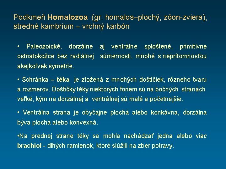 Podkmeň Homalozoa (gr. homalos–plochý, zóon-zviera), stredné kambrium – vrchný karbón • Paleozoické, dorzálne aj