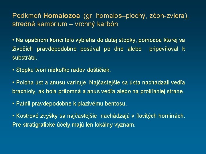 Podkmeň Homalozoa (gr. homalos–plochý, zóon-zviera), stredné kambrium – vrchný karbón • Na opačnom konci