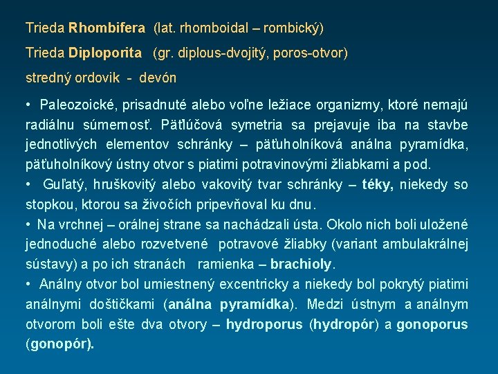 Trieda Rhombifera (lat. rhomboidal – rombický) Trieda Diploporita (gr. diplous-dvojitý, poros-otvor) stredný ordovik -