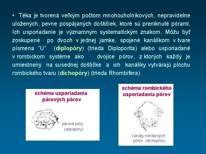  • Téka je tvorená veľkým počtom mnohouholníkových, nepravidelne uložených, pevne pospájaných doštičiek, ktoré