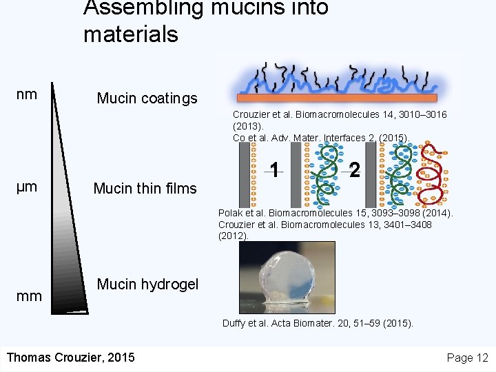 Assembling mucins into materials nm Mucin coatings Crouzier et al. Biomacromolecules 14, 3010– 3016