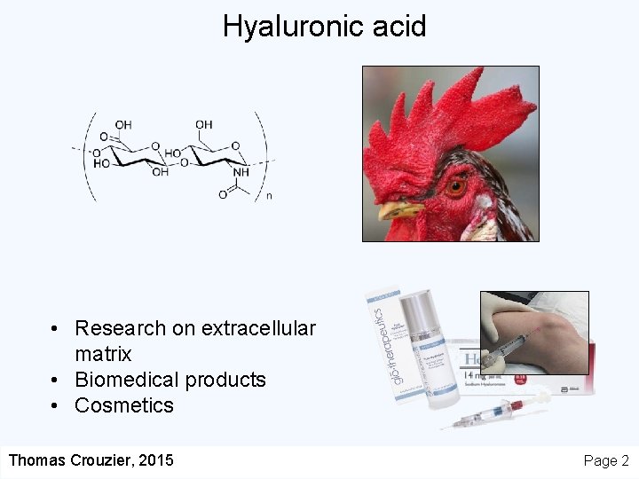 Hyaluronic acid • Research on extracellular matrix • Biomedical products • Cosmetics Thomas Crouzier,
