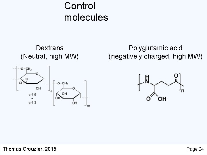 Control molecules Dextrans (Neutral, high MW) Thomas Crouzier, 2015 Polyglutamic acid (negatively charged, high