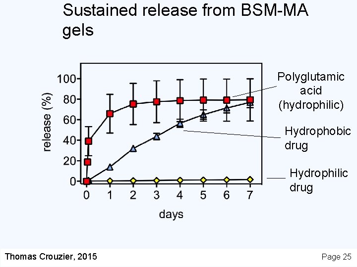 Sustained release from BSM-MA gels Polyglutamic acid (hydrophilic) Hydrophobic drug Hydrophilic drug Thomas Crouzier,