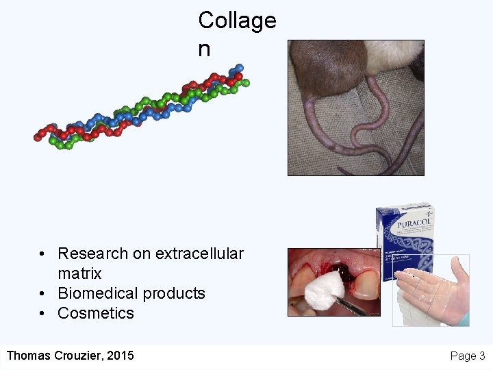Collage n • Research on extracellular matrix • Biomedical products • Cosmetics Thomas Crouzier,
