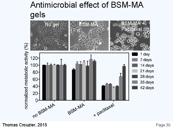 Antimicrobial effect of BSM-MA gels No gel Thomas Crouzier, 2015 BSM-MA + Paclitaxel Page