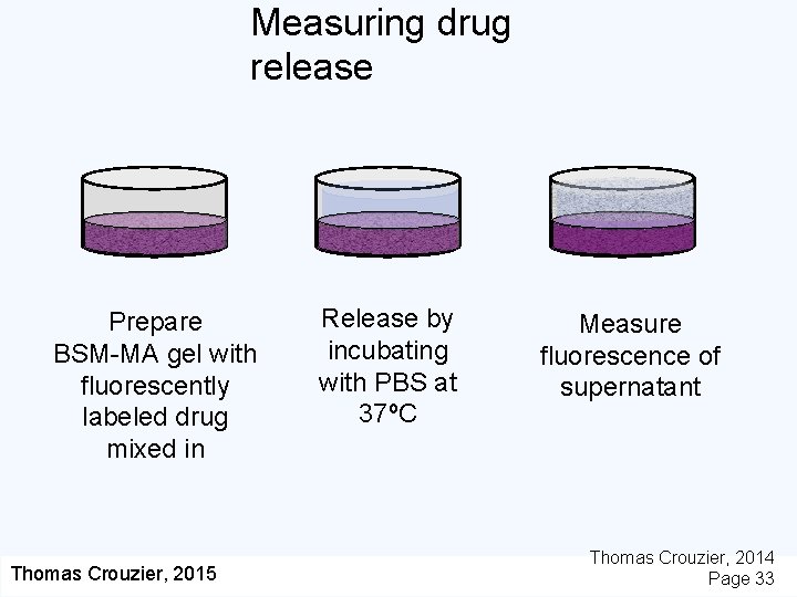 Measuring drug release Prepare BSM-MA gel with fluorescently labeled drug mixed in Thomas Crouzier,