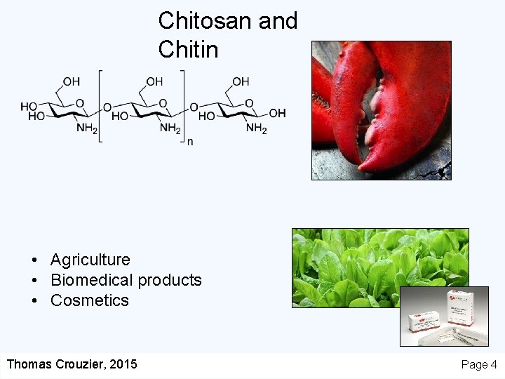 Chitosan and Chitin • Agriculture • Biomedical products • Cosmetics Thomas Crouzier, 2015 Page