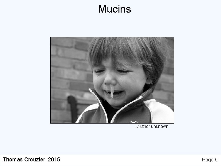 Mucins Author unknown Thomas Crouzier, 2015 Page 6 