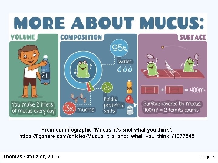 From our infographic “Mucus, it’s snot what you think”: https: //figshare. com/articles/Mucus_it_s_snot_what_you_think_/1277545 Thomas Crouzier,