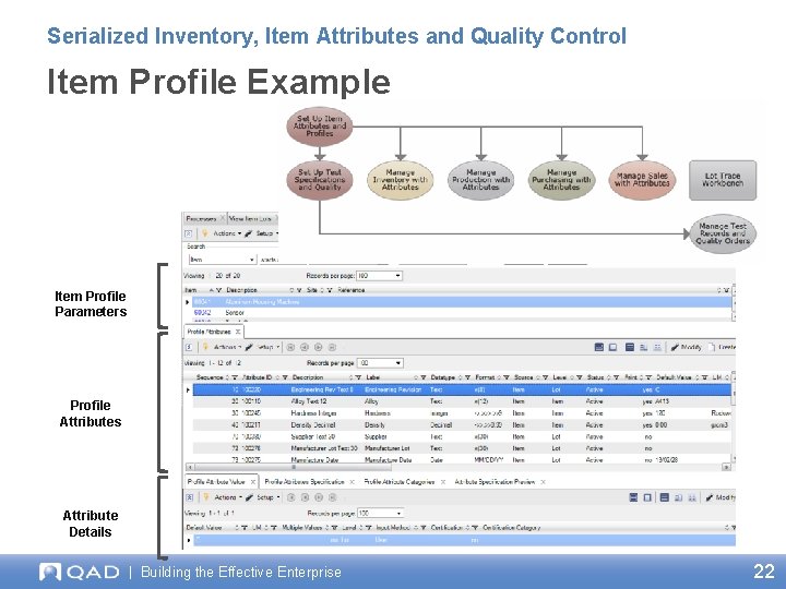 Serialized Inventory, Item Attributes and Quality Control Item Profile Example Item Profile Parameters Profile