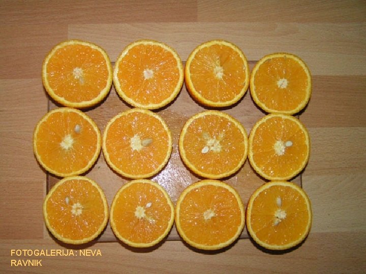 FOTOGALERIJA: NEVA RAVNIK 