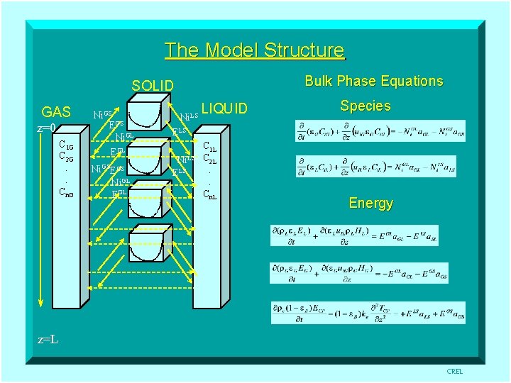 The Model Structure Bulk Phase Equations SOLID GAS z=0 C 1 G C 2