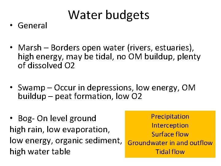  • General Water budgets • Marsh – Borders open water (rivers, estuaries), high