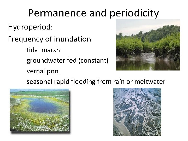 Permanence and periodicity Hydroperiod: Frequency of inundation tidal marsh groundwater fed (constant) vernal pool