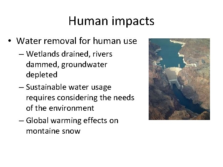 Human impacts • Water removal for human use – Wetlands drained, rivers dammed, groundwater