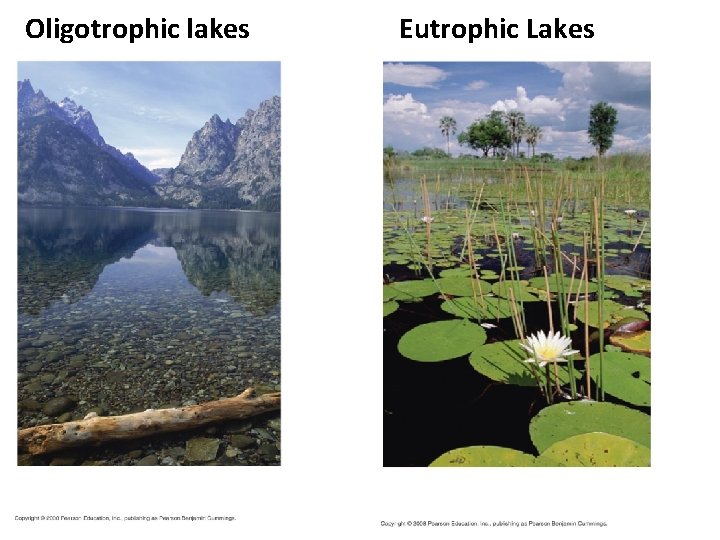 Oligotrophic lakes Lakes Eutrophic Lakes 