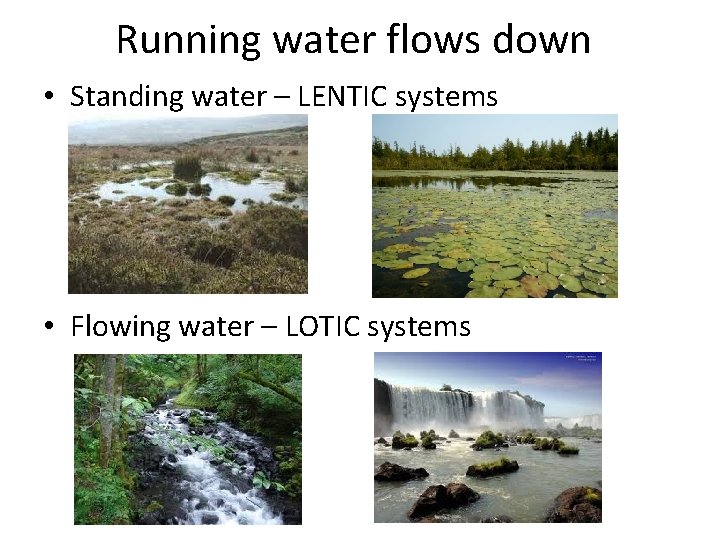 Running water flows down • Standing water – LENTIC systems • Flowing water –