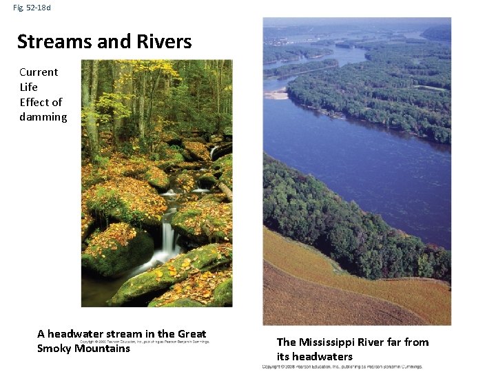 Fig. 52 -18 d Streams and Rivers Current Life Effect of damming A headwater