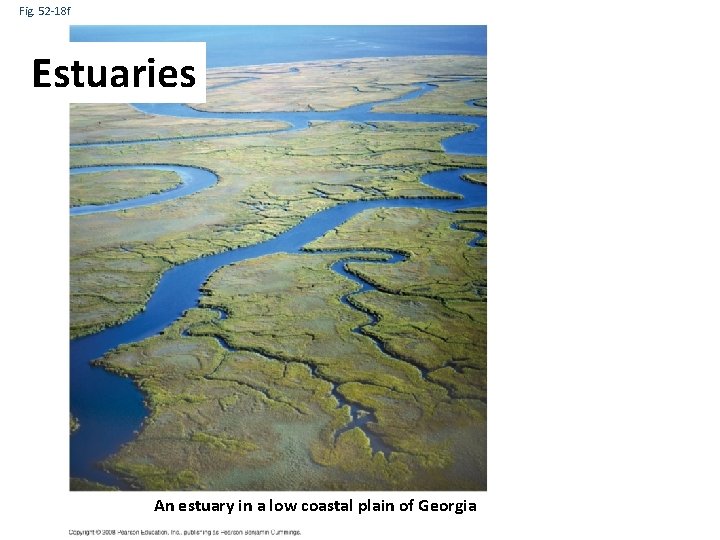 Fig. 52 -18 f Estuaries An estuary in a low coastal plain of Georgia