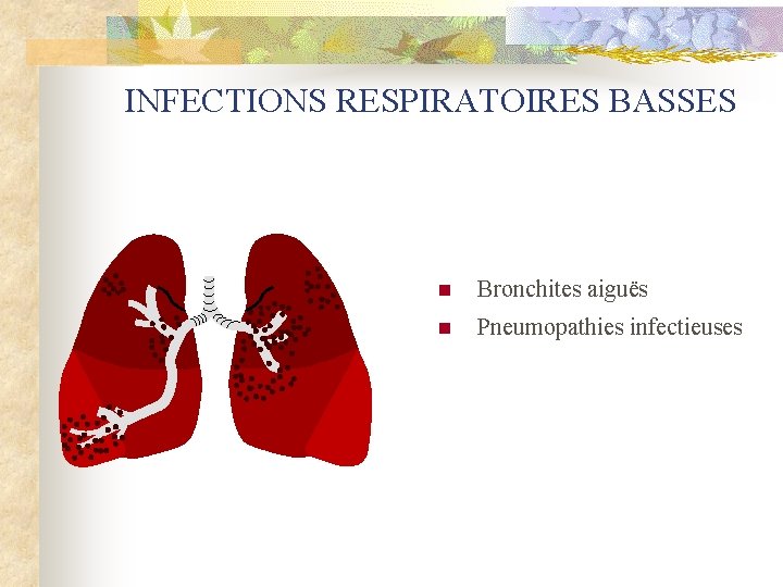 INFECTIONS RESPIRATOIRES BASSES n Bronchites aiguës n Pneumopathies infectieuses 