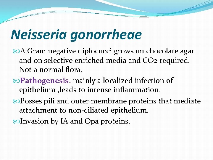 Neisseria gonorrheae A Gram negative diplococci grows on chocolate agar and on selective enriched