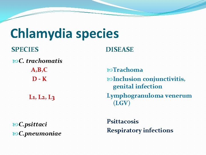 Chlamydia species SPECIES C. trachomatis A, B, C D-K L 1, L 2, L