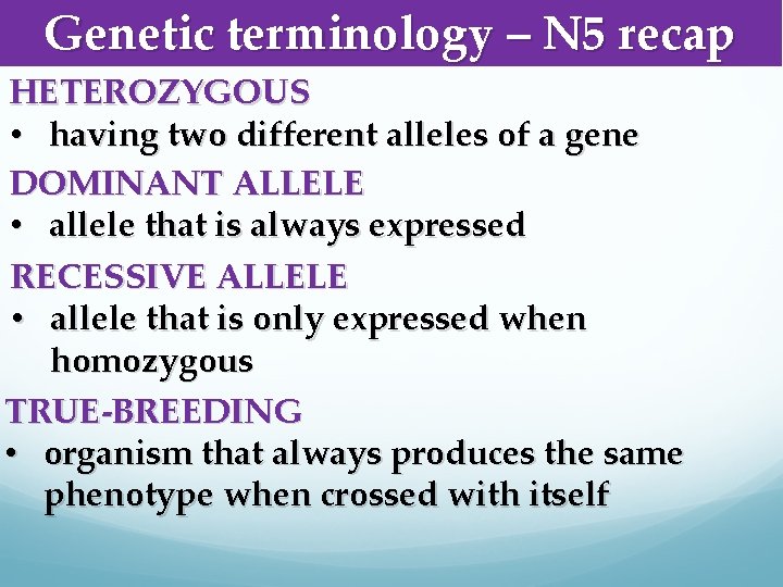 Genetic terminology – N 5 recap HETEROZYGOUS • having two different alleles of a