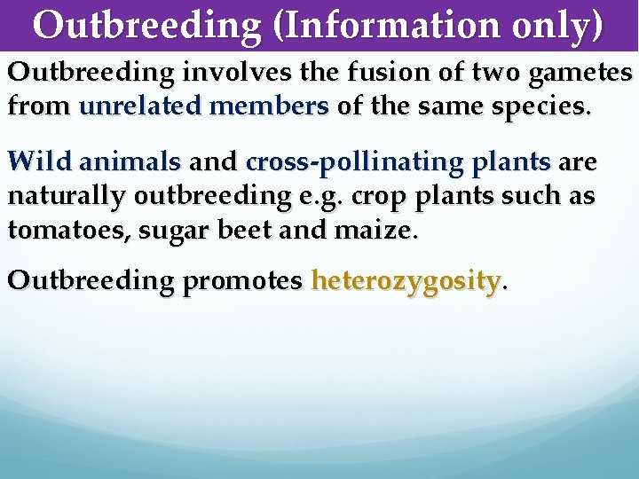 Outbreeding (Information only) Outbreeding involves the fusion of two gametes from unrelated members of