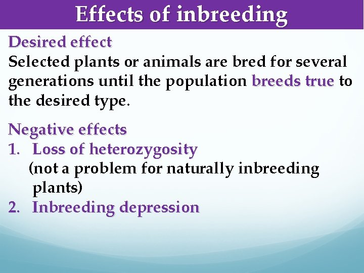Effects of inbreeding Desired effect Selected plants or animals are bred for several generations