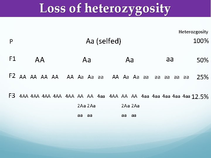 Loss of heterozygosity Heterozgosity Aa (selfed) P F 1 AA F 2 AA AA