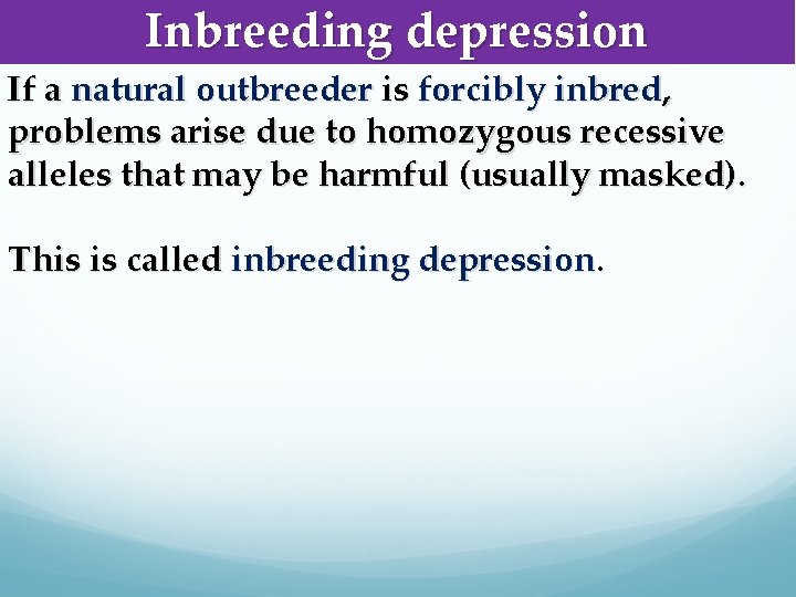 Inbreeding depression If a natural outbreeder is forcibly inbred, problems arise due to homozygous
