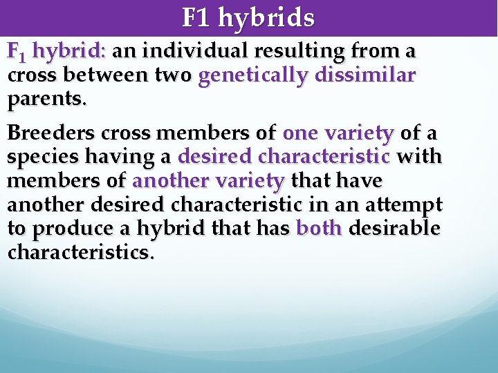 F 1 hybrids F 1 hybrid: an individual resulting from a cross between two