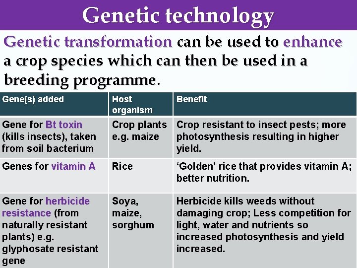 Genetic technology Genetic transformation can be used to enhance a crop species which can