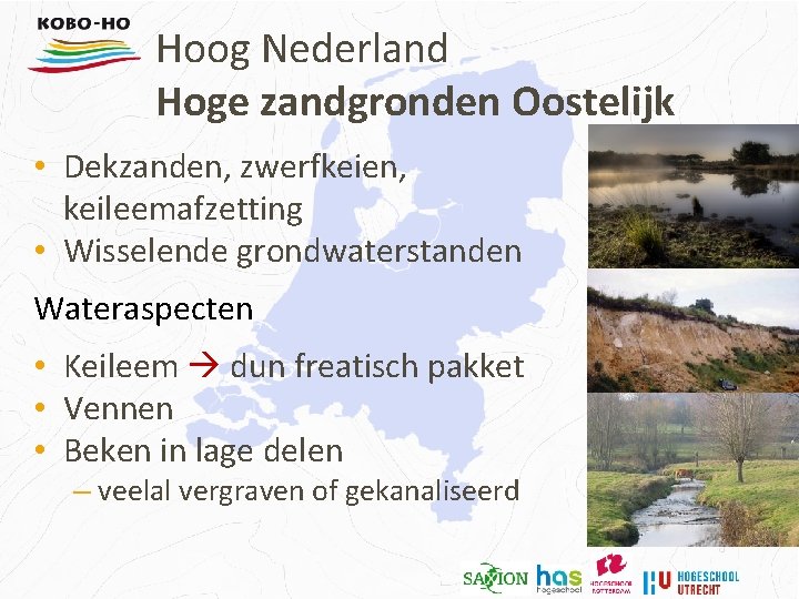 Hoog Nederland Hoge zandgronden Oostelijk • Dekzanden, zwerfkeien, keileemafzetting • Wisselende grondwaterstanden Wateraspecten •