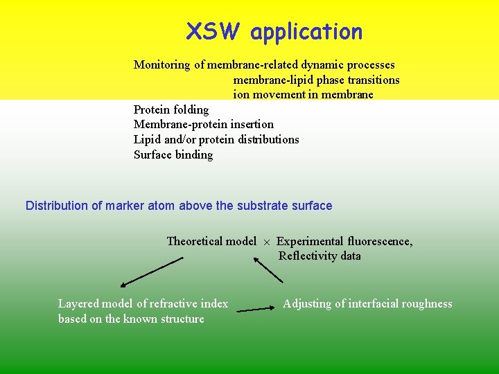XSW application Monitoring of membrane-related dynamic processes membrane-lipid phase transitions ion movement in membrane